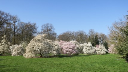 Erfgoedwandeling Arboretum Wespelaar