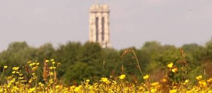 Wandeling in het Mechels Broek