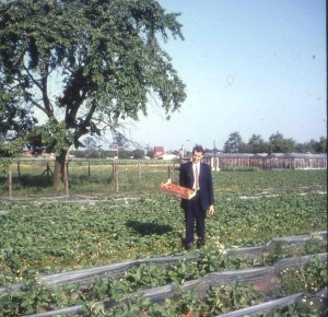 1969 aster met aardbeien 